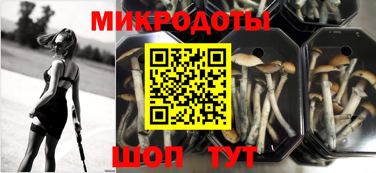 Галлюциногенные грибы мицелий Изобильный